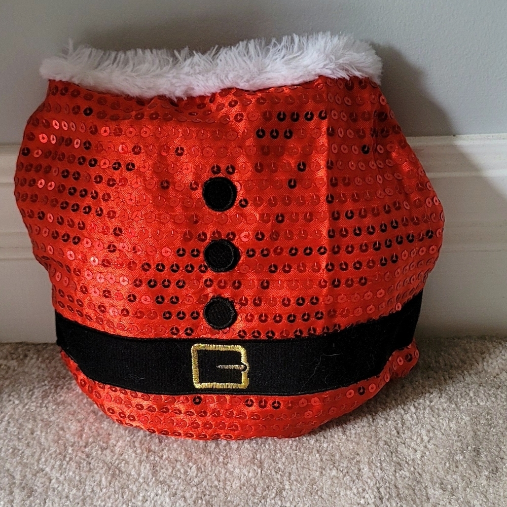 Santa Costume for Small Dogs
